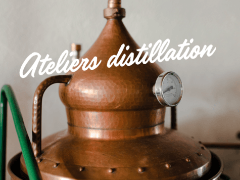 Atelier de distillation d’un gin